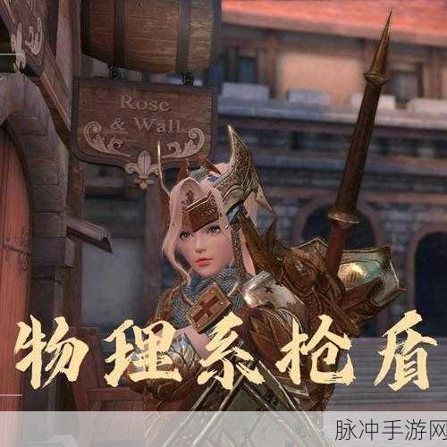 猎魂觉醒枪盾玩家必备,全面解析套装选择策略