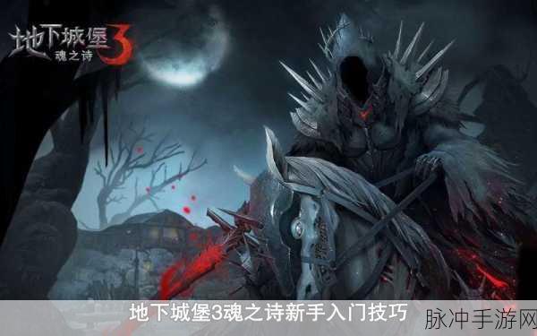 湖心之敌,深入地下城堡3魂之诗的挑战之旅全攻略