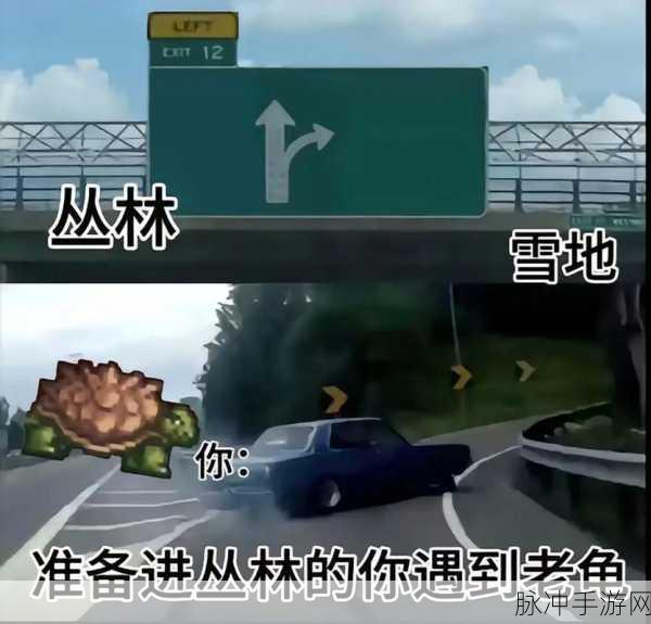 泰拉瑞亚毛绒玩具Buff，你的冒险之旅，从此不再孤单！