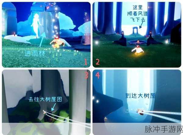 光遇深度攻略,追逐散落的星光雨林完美通关指南