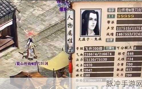 大话西游手游寻芳13关高效通关秘籍，男鬼阵容搭配与实战心得深度剖析