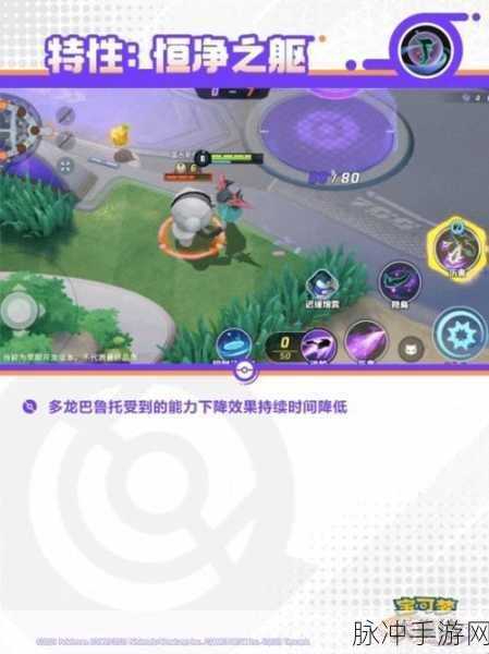 宝可梦大集结烈箭鹰高效战斗全攻略，持有物选择推荐与全新战术深度解析