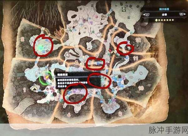 怪物猎人雌火龙寻觅指南,解锁雌火龙所在地图的详细攻略