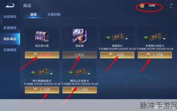 王者荣耀体验币兑换问题全解析，为何无法兑换及解决方案