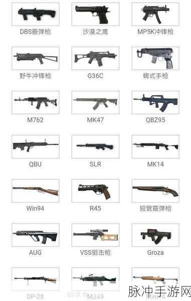 绝地求生刺激战场,全面解析娱乐模式玩法与种类