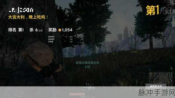 绝地求生刺激战场,全面解析娱乐模式玩法与种类