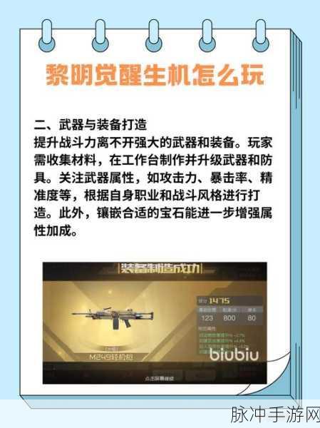 黎明觉醒背包满了应对策略详解