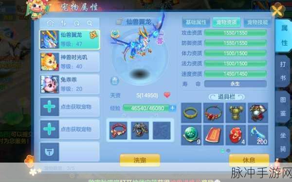 2025年神武手游幻境深度攻略,高效刷宝技巧全面揭秘