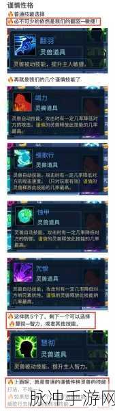 倩女幽魂手游魅者职业强控流玩法装备选择与搭配深度分析