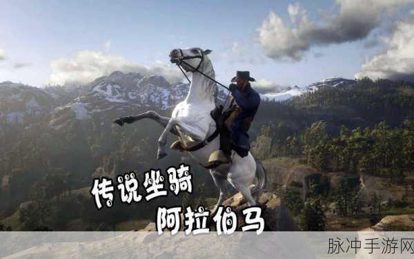 荒野大镖客2阿拉伯马抓取全攻略，驰骋西部的梦幻坐骑