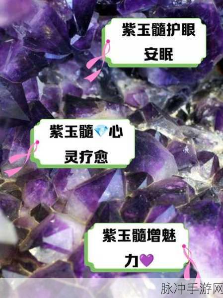 烟雨江湖紫玉髓全面获取攻略及稀有材料解析