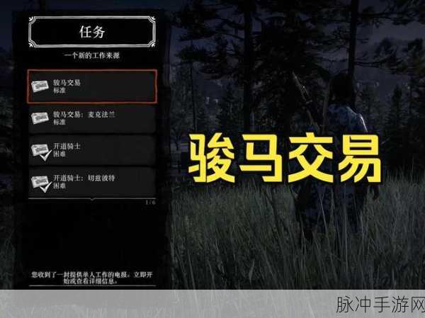 荒野大镖客2深度攻略，解密换马技巧，驰骋西部新征程！