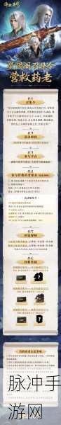 斗破苍穹手游深度攻略,功法搭配与职业功法选择的最优策略