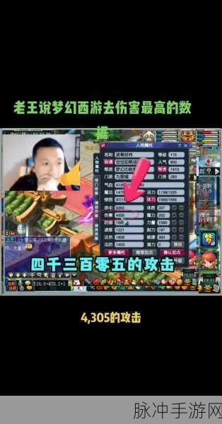 梦幻西游,专用武器之威力与影响深度解析
