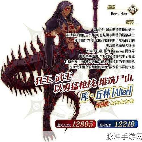 FGO深度攻略,库丘林Alter满破素材全解析及黑狗突破材料一览