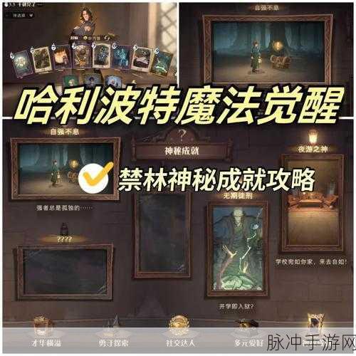 哈利波特,魔法觉醒全面攻略——揭秘寻狗启示禁林路线