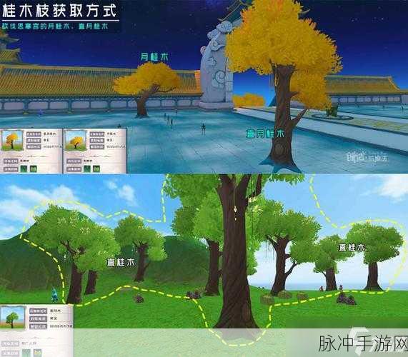 创造与魔法御剑材料获取全攻略——探索与炼制之道