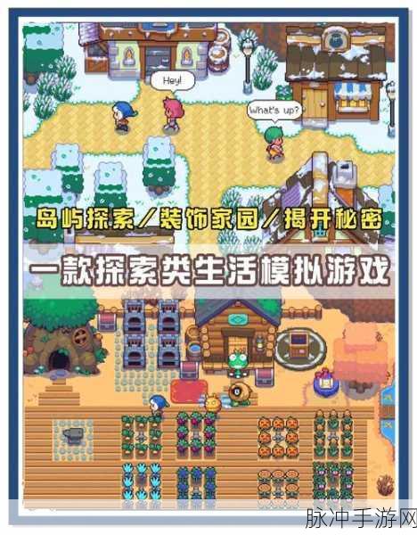 小岛怡情游戏下载,探索热门休闲益智游戏的奇妙之旅