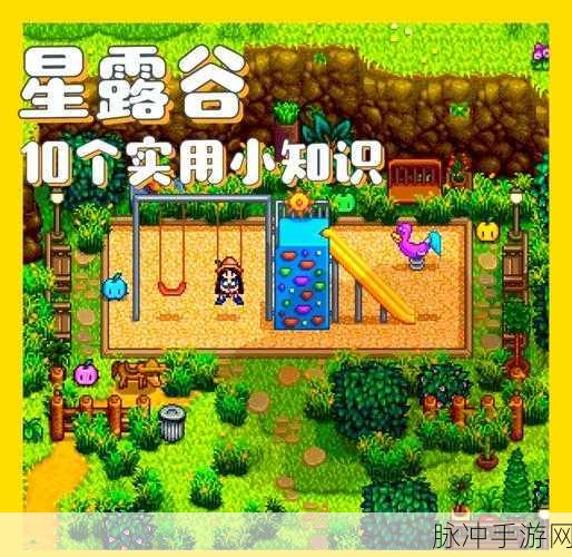 星露谷物语,深入探索传送尖塔的返回机制与攻略