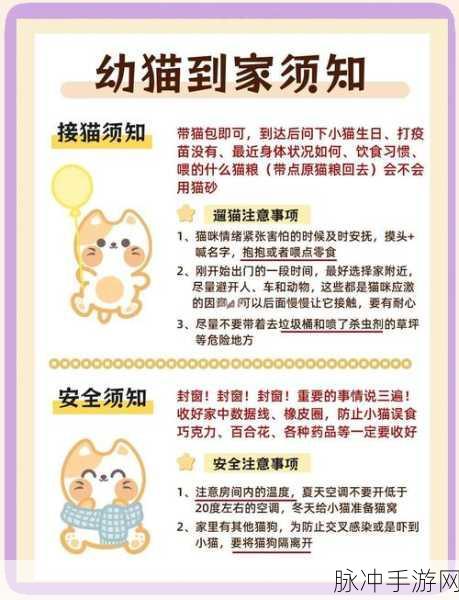 沉浸式萌宠体验，和小白猫的幸福贴贴生活2下载全攻略