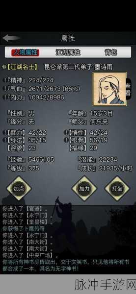 放置江湖全面解析,传承任务攻略大全及详细步骤指导