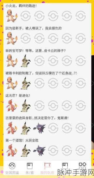 口袋妖怪白宝攻略，全面指南助你踏上冒险之旅