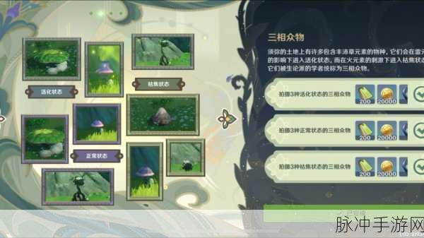 原神雕琢童心掠影拾真全关卡攻略详解