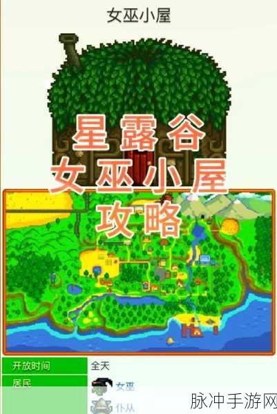 星露谷物语深度探索，揭秘女巫小屋的神秘入口与全面攻略