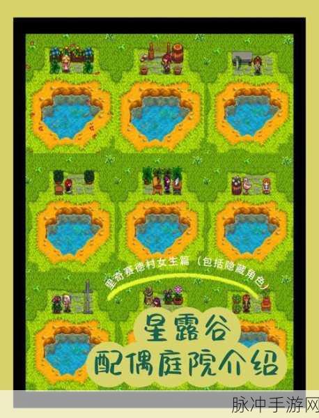 星露谷物语深度探索,揭秘女巫小屋的神秘入口与全面攻略