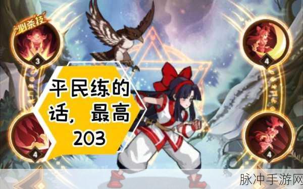 剑与远征,揭秘娜可露露兑换所需碎片数量及攻略详解