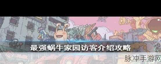 最强蜗牛家园访客刷新时间全解析及家园玩法深度攻略
