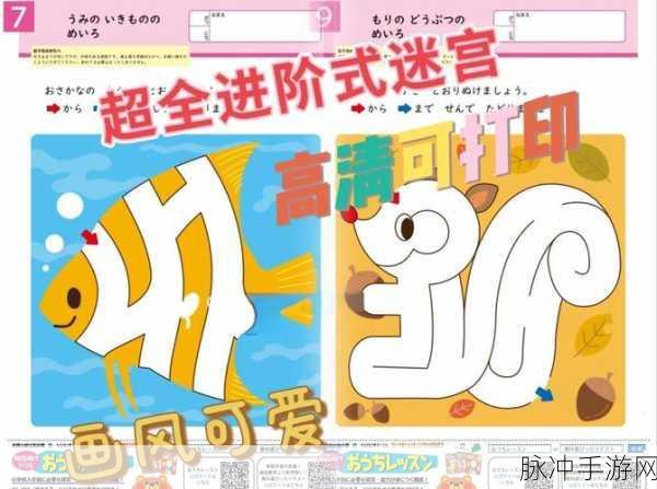 彩绚迷宫游戏,探索无尽智慧之旅的休闲益智新体验