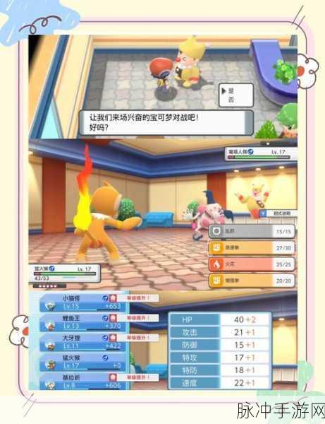 口袋妖怪白金二周目攻略图文详解,全面探索与战斗指南