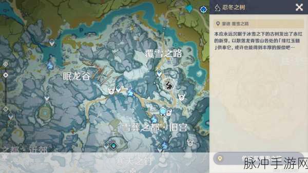 原神手游忍冬之果全面解析,珍贵果实的获取与效用