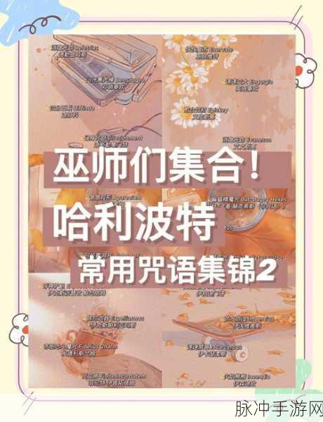 霍格沃茨魔法咒语宝典,深入探索手游中的魔法咒语大全