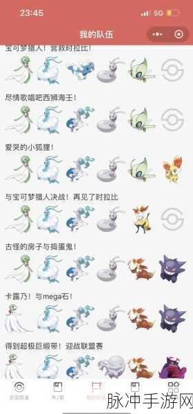 宝可梦大探险,顶尖阵容搭配攻略
