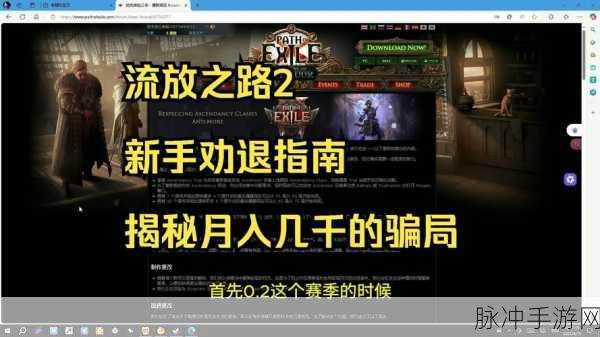 流放之路音效过滤问题揭秘,手游公司视角下的纯净游戏体验重塑