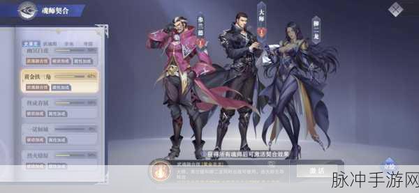斗罗大陆魂师对决,柳二龙队伍搭配深度解析与推荐