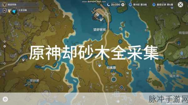 原神深度攻略，珍贵材料怯砂木全面解析