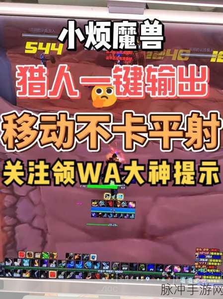 猎人雕文选择指南,兽王转型射击猎人的完美过渡