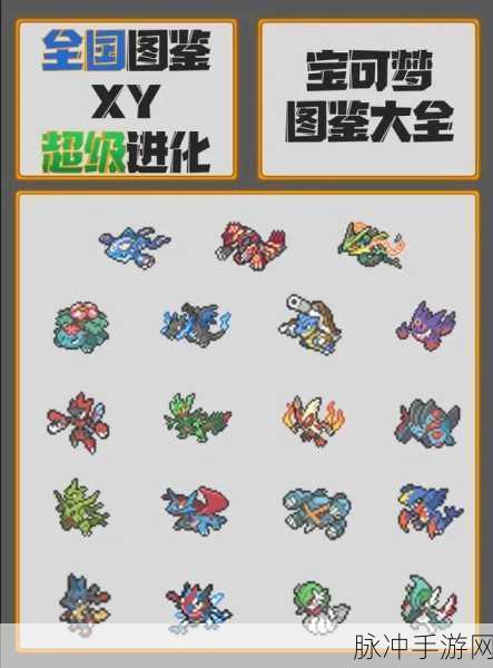 口袋妖怪XY存档修改全攻略,红蓝烧录卡操作详解