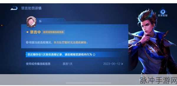 王者荣耀被禁言后如何查看剩余时间，全面攻略