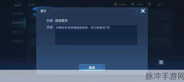 王者荣耀被禁言后如何查看剩余时间,全面攻略