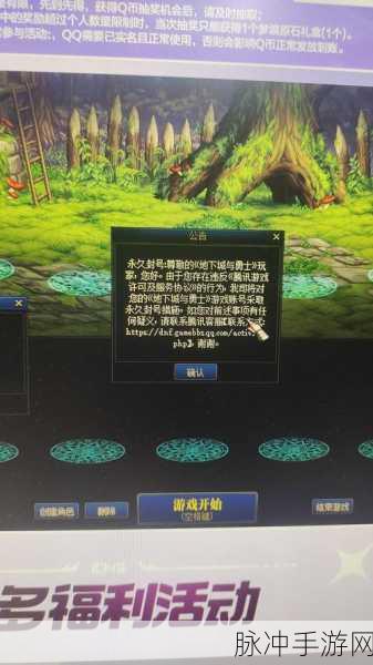 DNF登陆难题深度解析，为何总提示此ID已在游戏中？