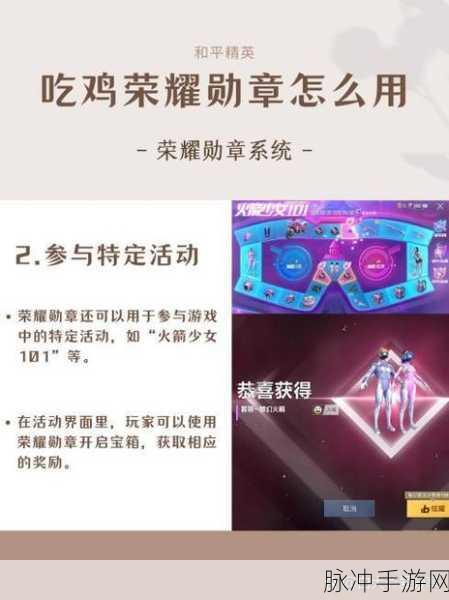 和平精英战队粉丝专属荣耀,揭秘战队Logo与勋章获取秘籍全攻略