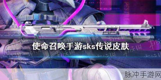 使命召唤手游SKS配件选择全攻略