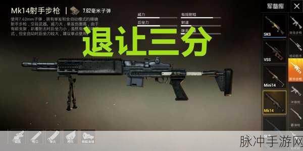 使命召唤手游SKS配件选择全攻略