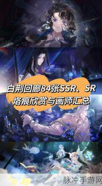白荆回廊巡声测试,崔远之与司危深度剖析