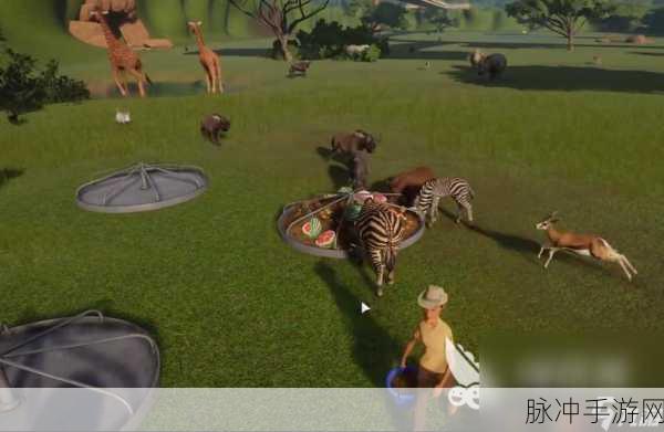 动物园之星手游攻略,打造完美饲养员小屋全解析