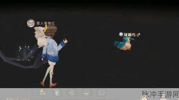哈利波特手游深度攻略，球遁鸟的意外邂逅与温馨收养全解析